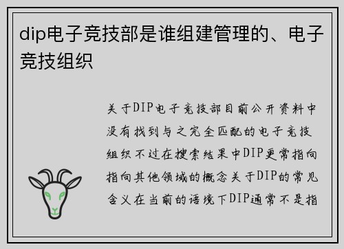 dip电子竞技部是谁组建管理的、电子竞技组织